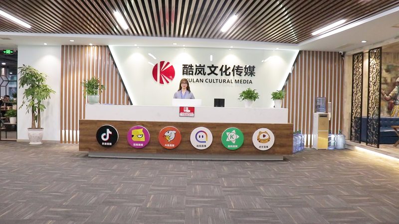 服装品牌TVC脚本案例：揭秘创意与传播的完美结合